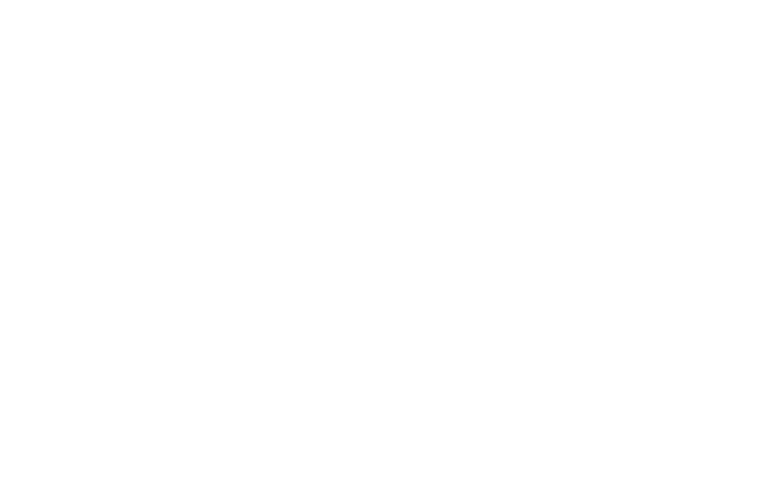 WordPress-logotype-alternative-white